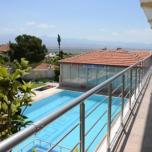 book here